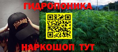 ешки Краснознаменск