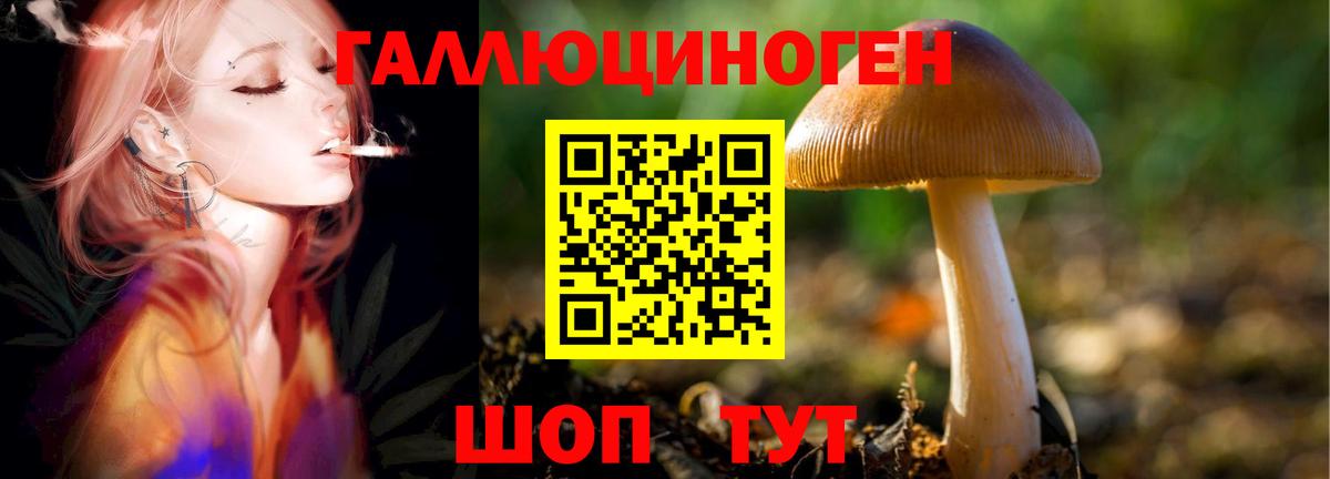 Псилоцибиновые грибы MAGIC MUSHROOMS Домодедово